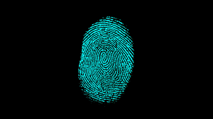 Fingerprint