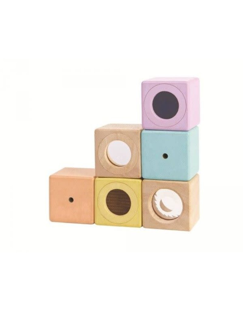 PlanToys PlanToys sensory blocks