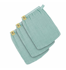 Lassig Lassig Washandjes Tetra mint