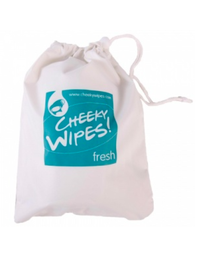 Cheeky Wipes Cheeky Wipes mucky wipes out and about bag