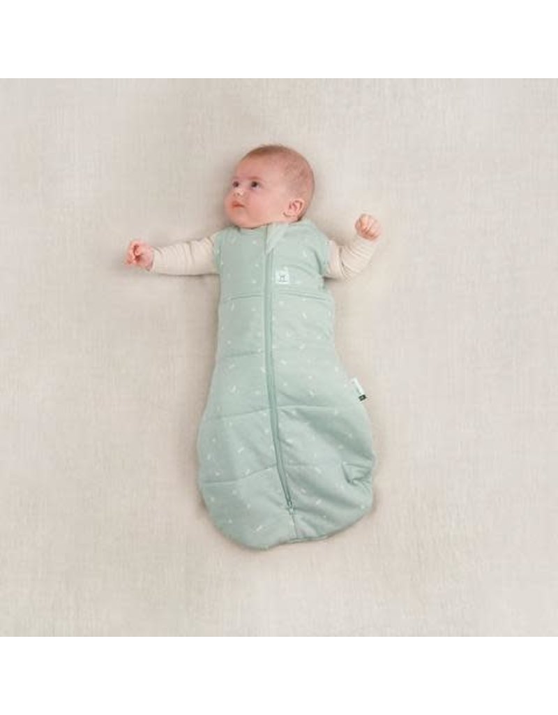 Ergopouch Ergopouch swaddle sleepbag Sage 2.5 tog