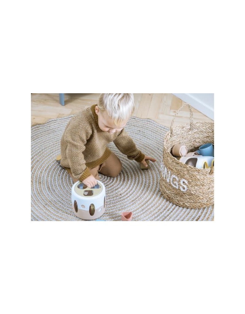 Dantoy Dantoy Tiny Bio Shape Sorter
