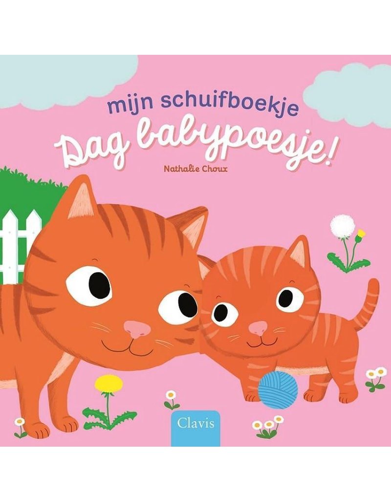 Clavis Clavis Mijn Schuifboekje Dag Babypoesje!