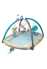 Taf Toys Taf Toys Koala Musical Cosy Gym