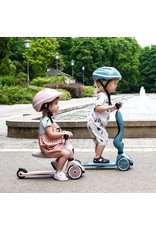 Scoot & Ride Scoot and Ride Highwaykick 1 Steel