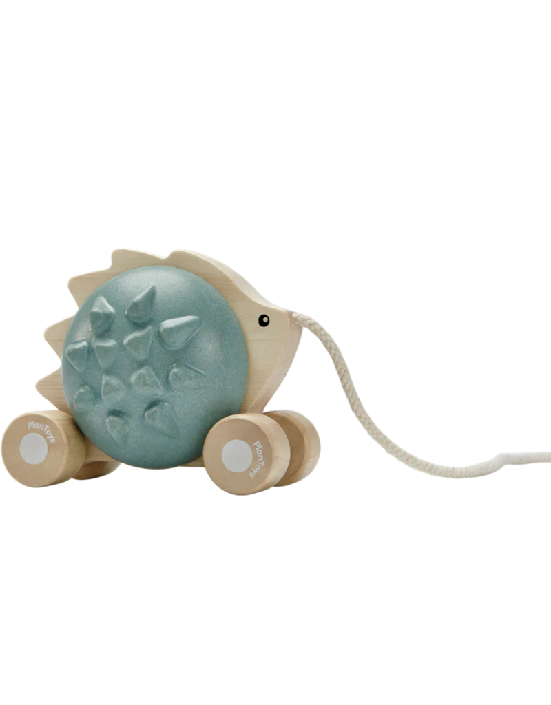 PlanToys Plantoys pull-along Hedgehog Blue