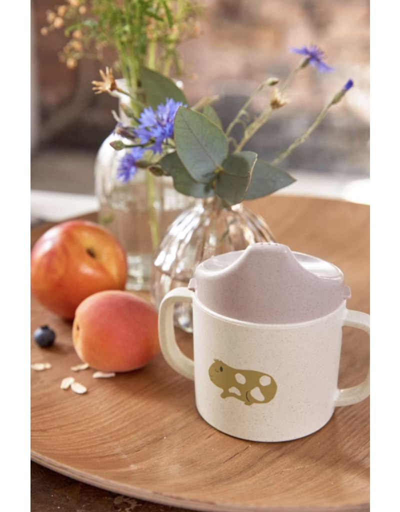 Lassig Lassig Sippy Cup little mateys Spicy orange