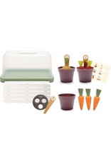 Dantoy Dantoy Mini Greenhouse Set