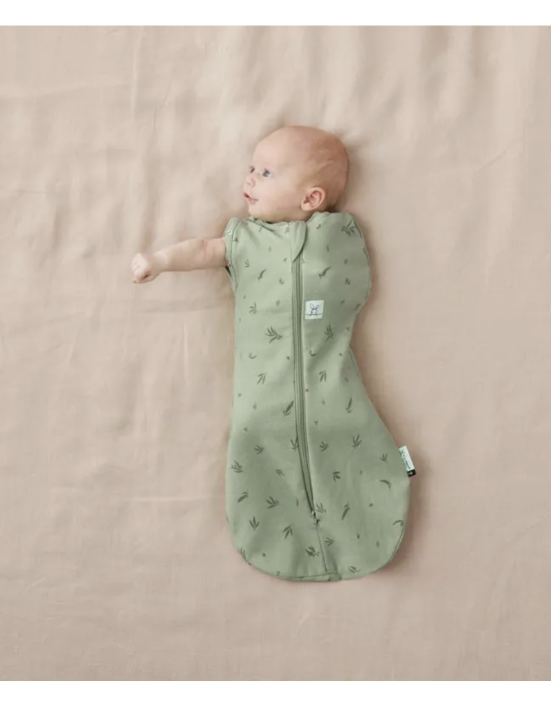 Ergopouch Ergopouch Cocoon swaddle sleepbag Willow 0-3m 2.5tog