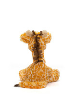 Jellycat Jellycat Merryday Giraffe