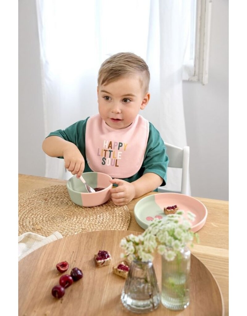 Lassig Lassig Value Pack Bib 5 pcs Happy Fruits Cherry