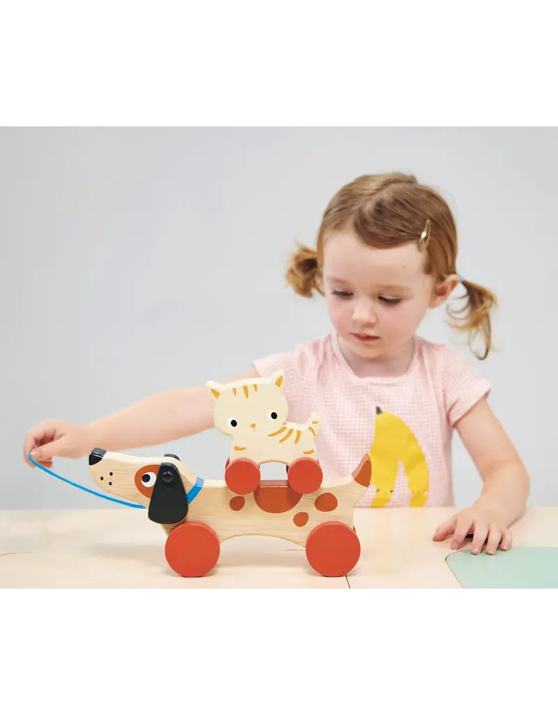 Mentari Mentari Puppy on Wheels wood