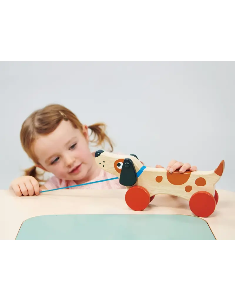 Mentari Mentari Puppy on Wheels wood