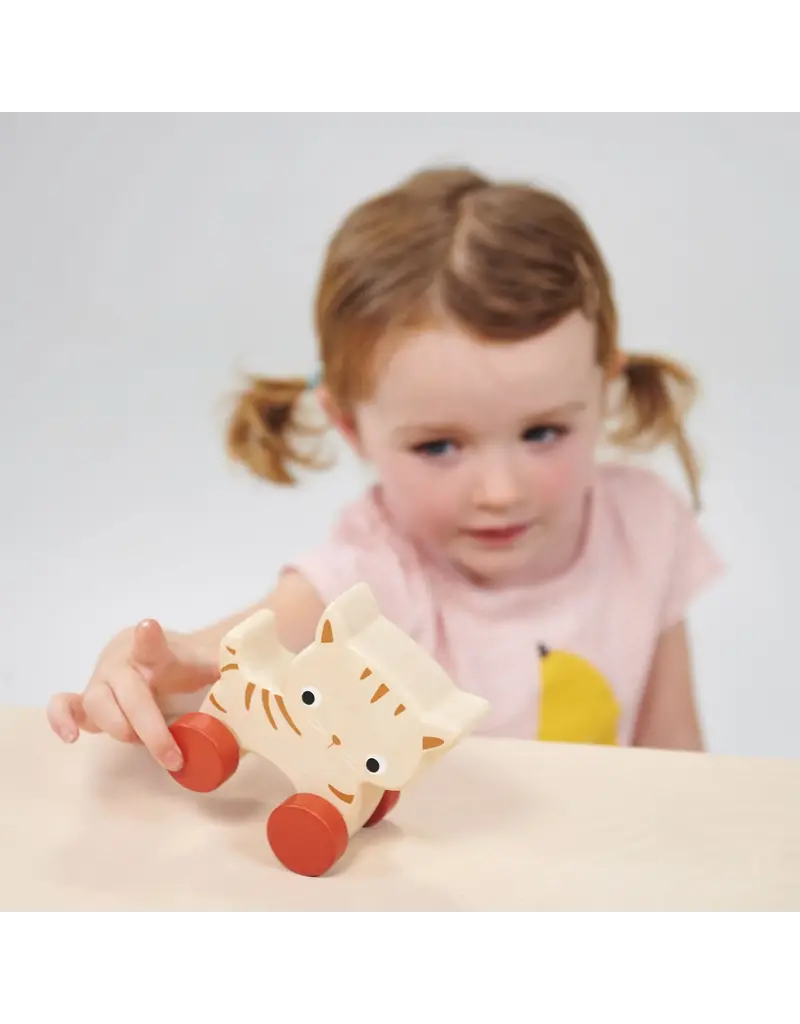 Mentari Mentari Kitten on Wheels wood