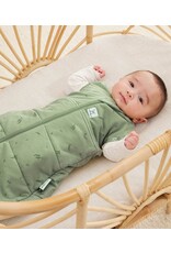 Ergopouch Ergopouch Cocoon swaddle sleepbag Willow 2.5tog
