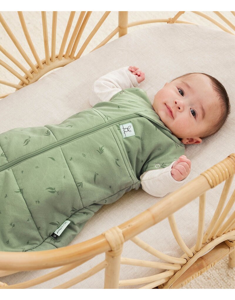 Ergopouch Ergopouch Cocoon swaddle sleepbag Willow 2.5tog
