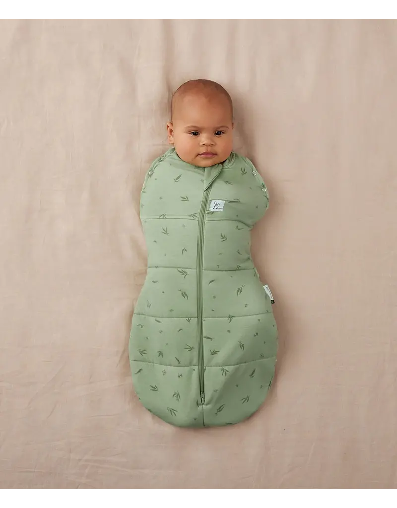 Ergopouch Ergopouch Cocoon swaddle sleepbag Willow 2.5tog