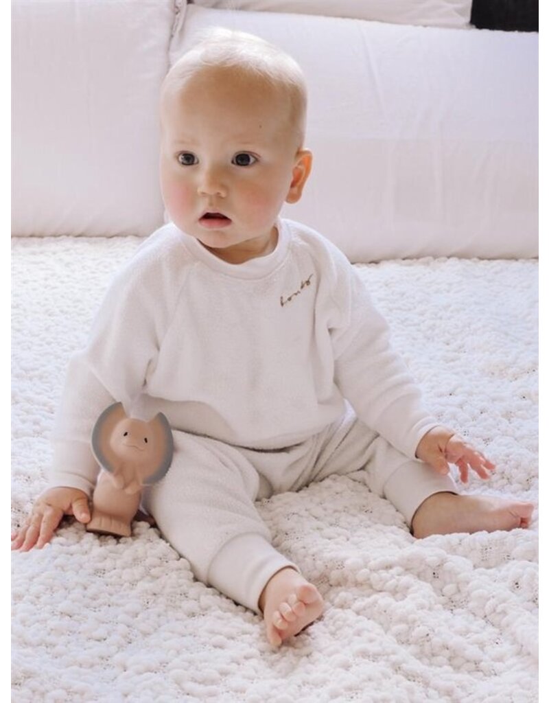 Tikiri Tikiri Mijn eerste dinosaurus  natuurlijk rubber met belletje