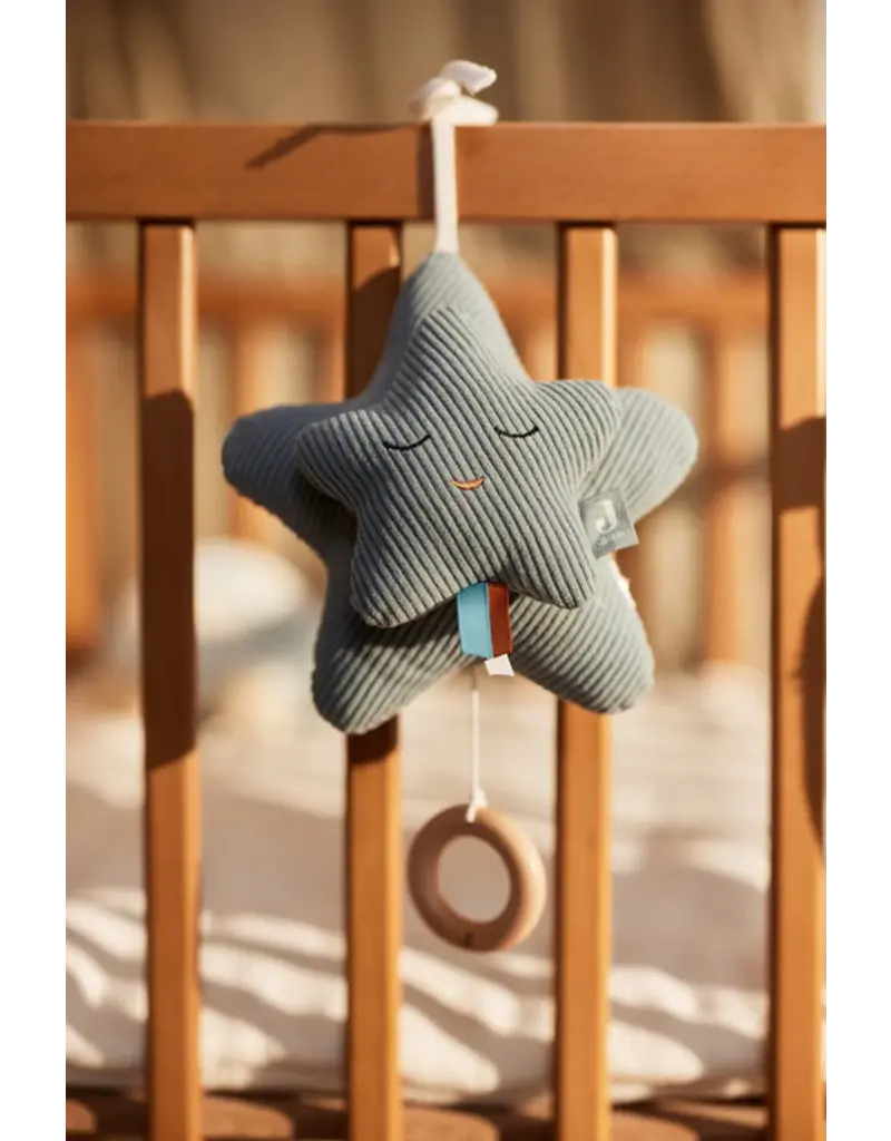 Jollein Jollein muziekhanger Star Sea Green