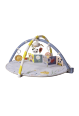 Taf Toys Taf Toys Fantasy Bloom Gym
