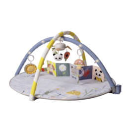 Taf Toys Taf Toys Fantasy Bloom Gym