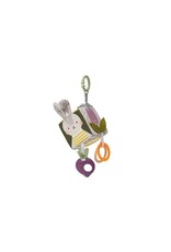 Taf Toys Taf Toys Urban Garden Activity Cube