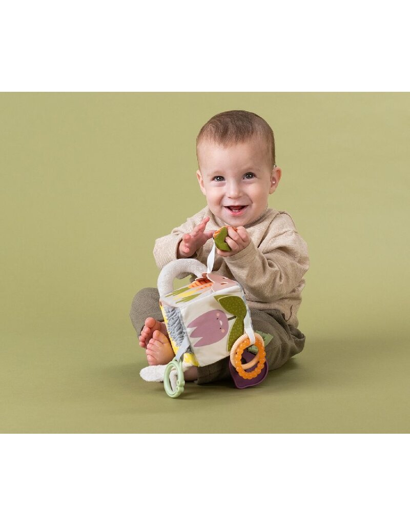 Taf Toys Taf Toys Urban Garden Activity Cube