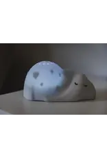 Flow Flow Amsterdam George Projector