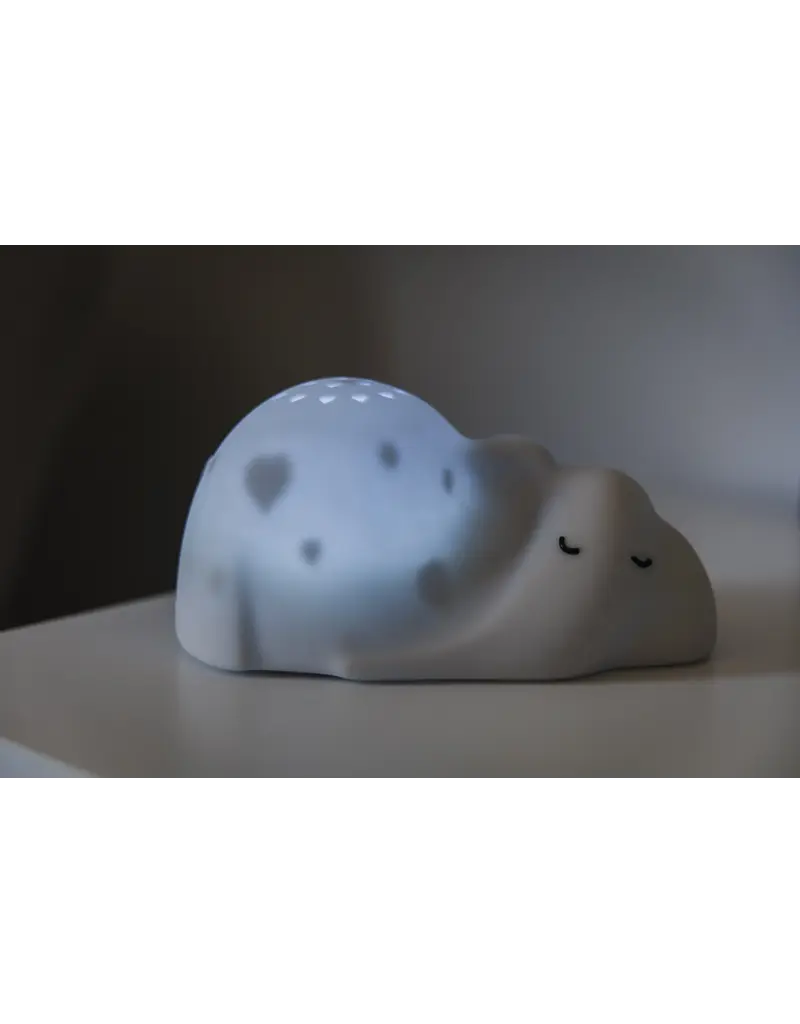 Flow Flow Amsterdam George Projector