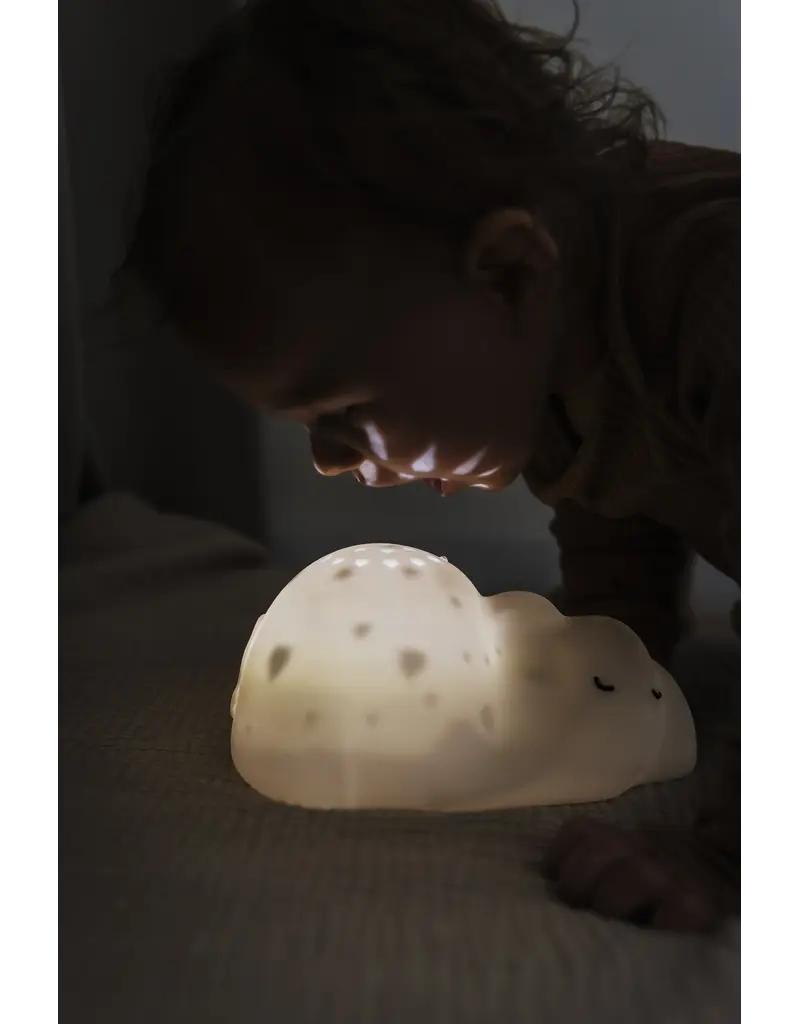 Flow Flow Amsterdam George Projector