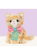 Studio Pets Studio Pets Mini Tommy Mixed Breed