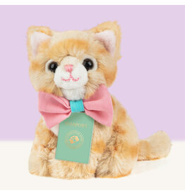 Studio Pets Studio Pets Mini Tommy Mixed Breed