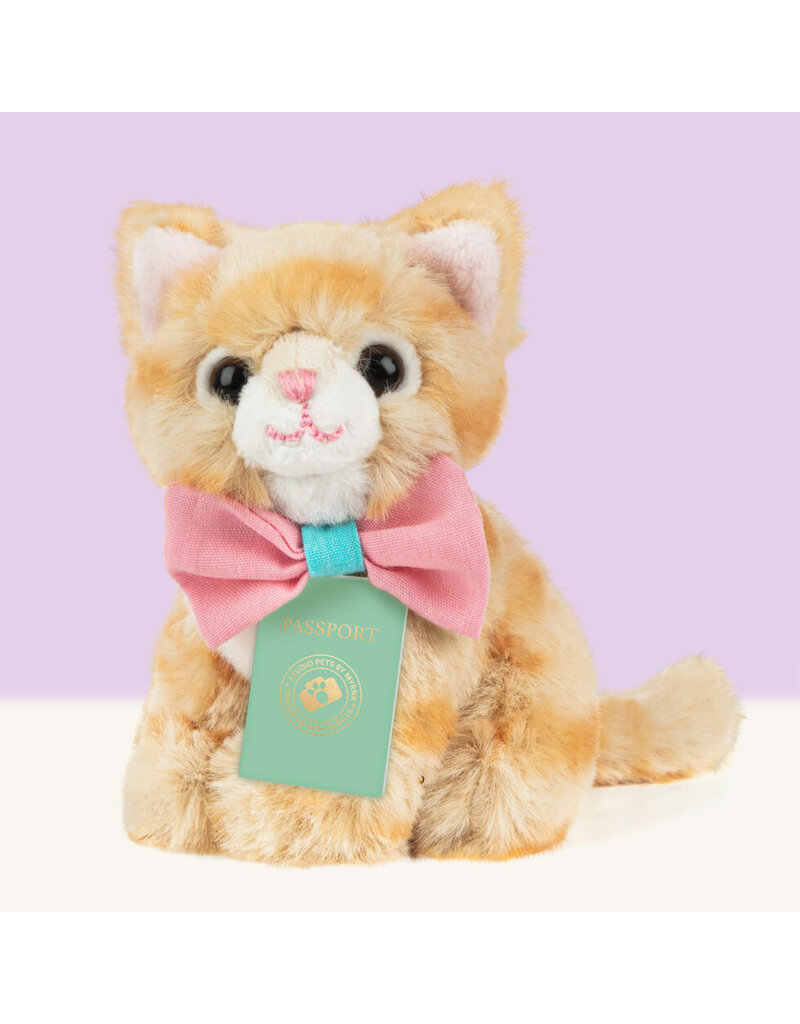 Studio Pets Studio Pets Mini Tommy Mixed Breed