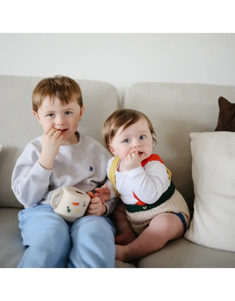 Mushie Mushie Snack Cup Dino