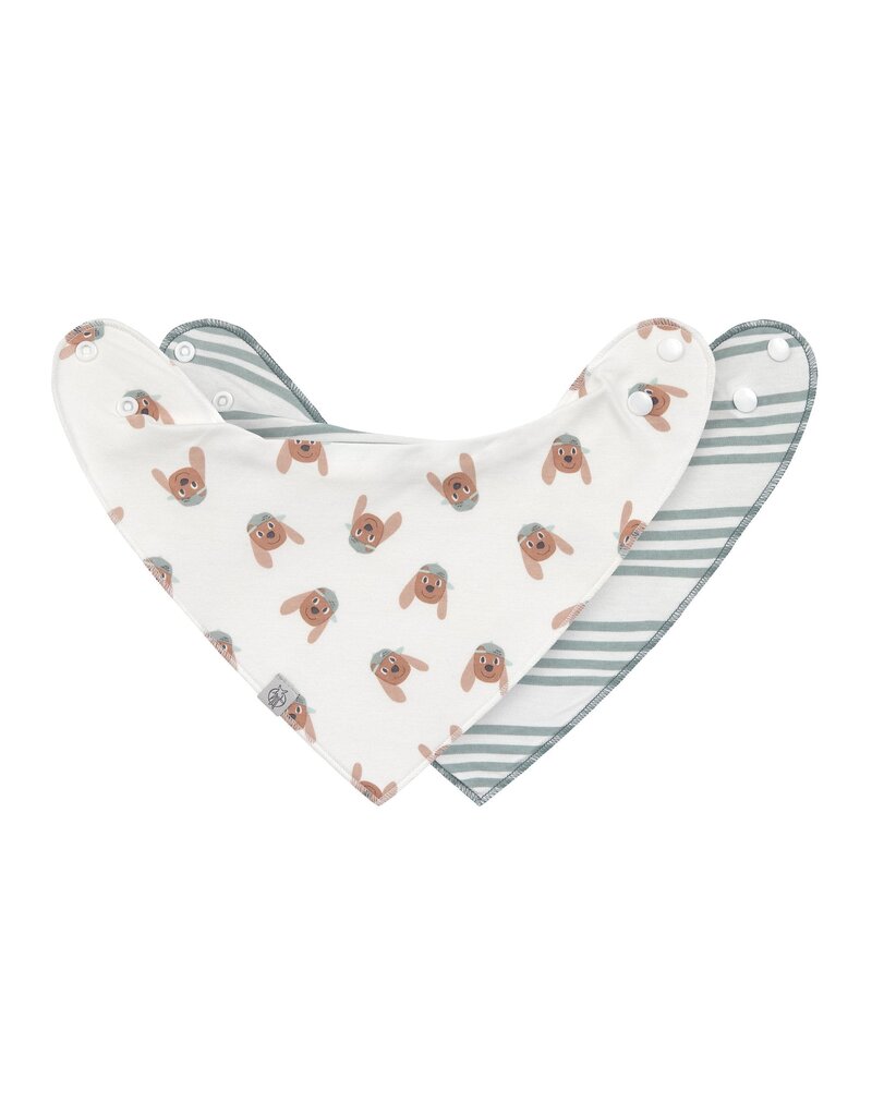 Lassig Lassig Bandana 2 pcs Tiny Team Dog