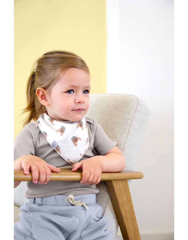 Lassig Lassig Bandana 2 pcs Tiny Team Dog