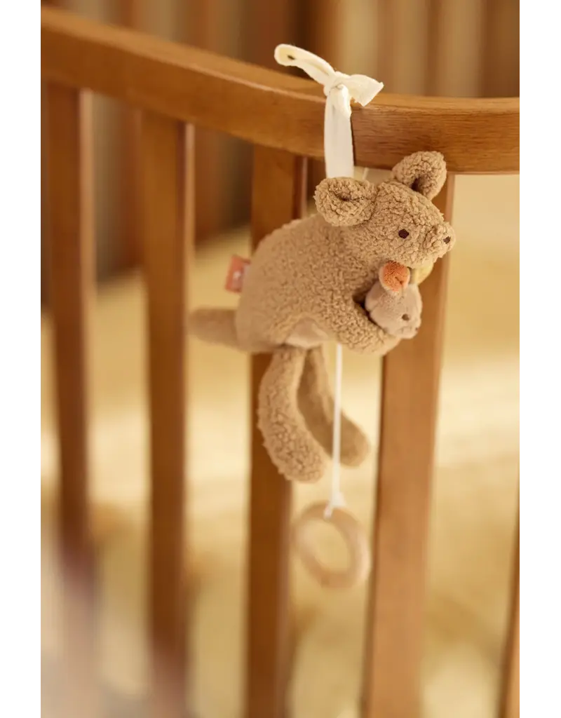 Jollein Jollein muziekhanger kangaroots