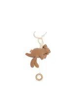 Jollein Jollein muziekhanger kangaroots