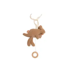 Jollein Jollein muziekhanger kangaroots