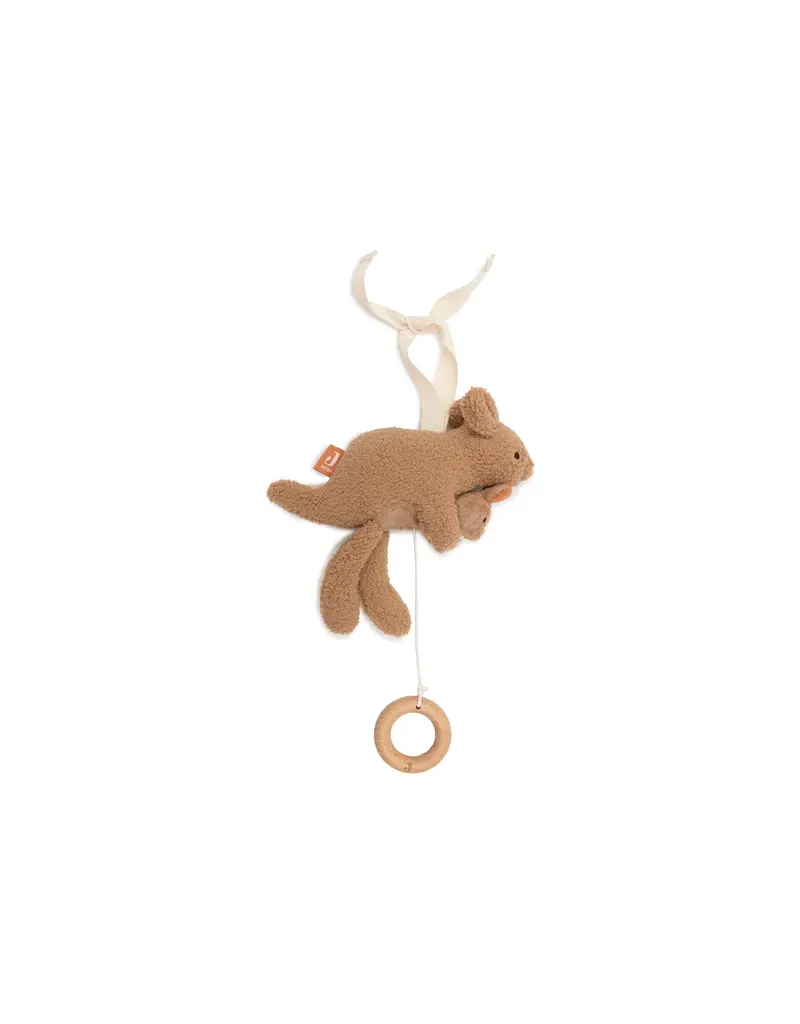 Jollein Jollein muziekhanger kangaroots