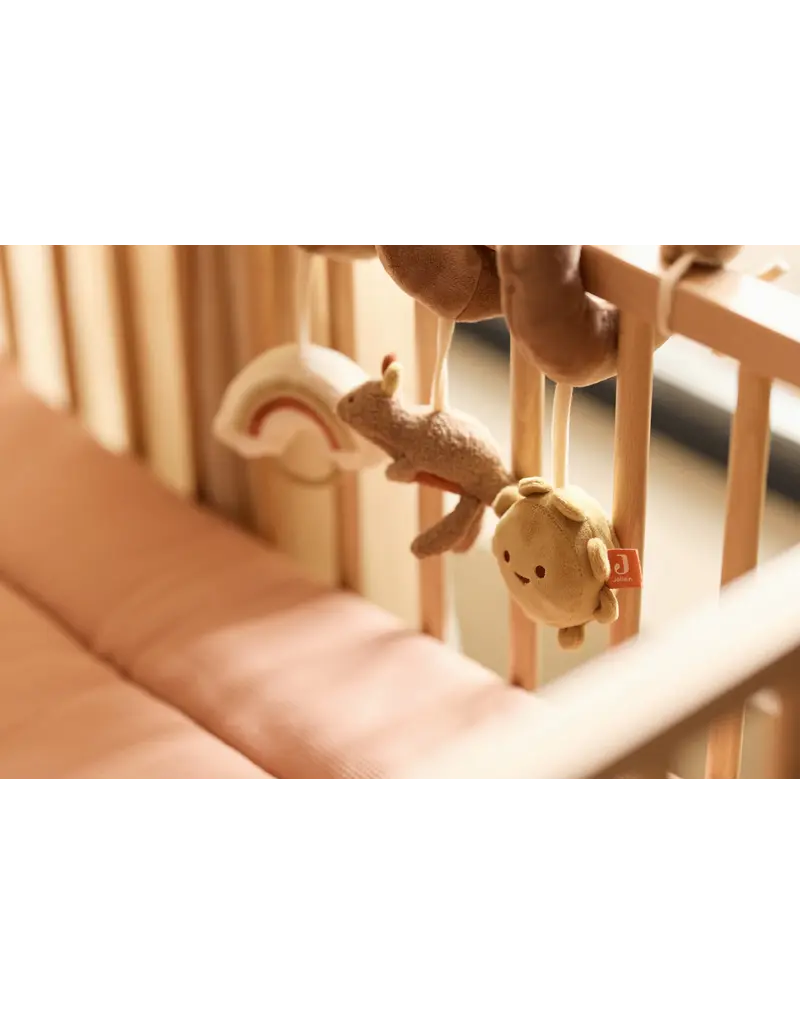 Jollein Jollein activiteitenspiraal kangaroots