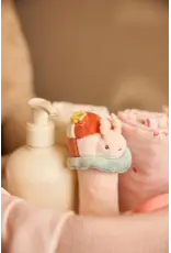 Jollein Jollein rammelaar pretty picnic ladybug