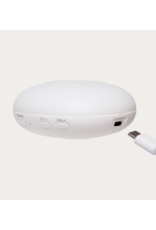 Moonie Moonie 2.0 humming bear with a lamp honey