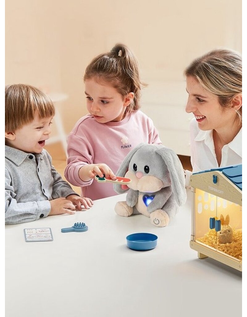 Topbright Topbright Care Pets Mummy Bunny