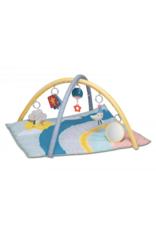 Taf Toys Taf Toys Magical Mini Moon Gym