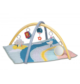 Taf Toys Taf Toys Magical Mini Moon Gym