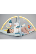 Taf Toys Taf Toys Magical Mini Moon Gym