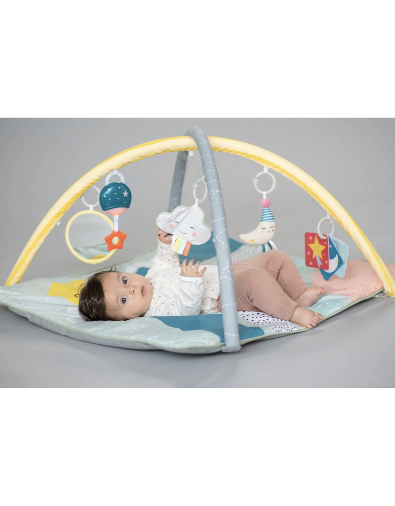 Taf Toys Taf Toys Magical Mini Moon Gym