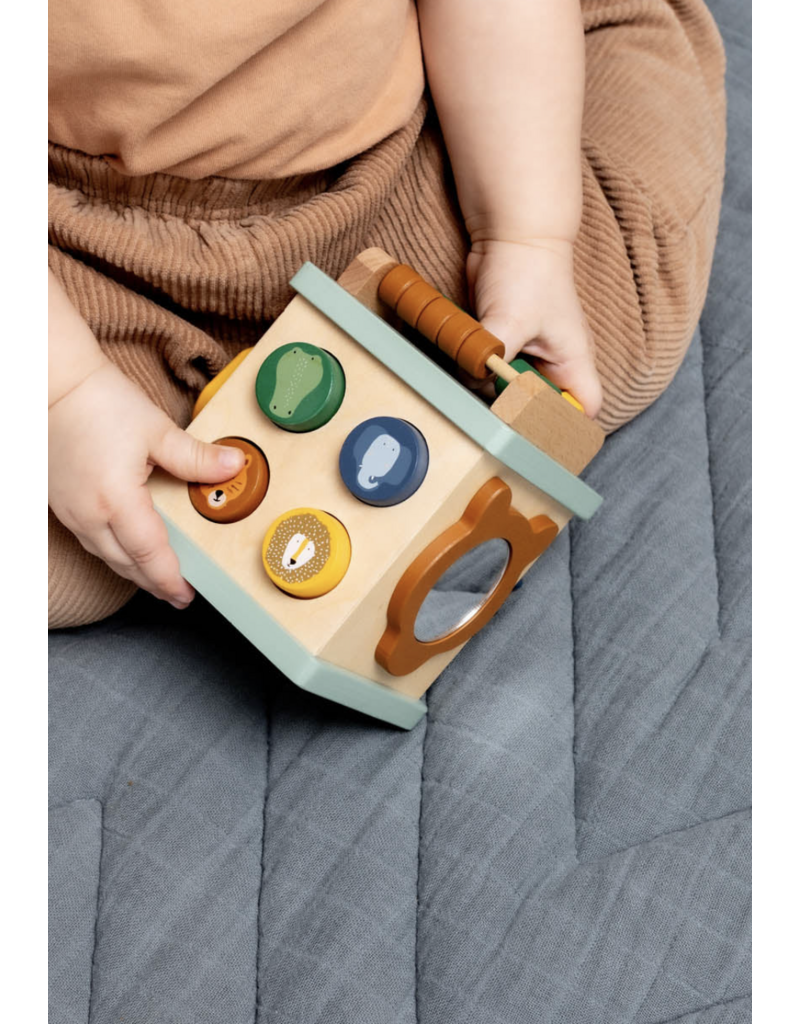 Trixie Trixie Houten activiteitenkubus mini All Animals