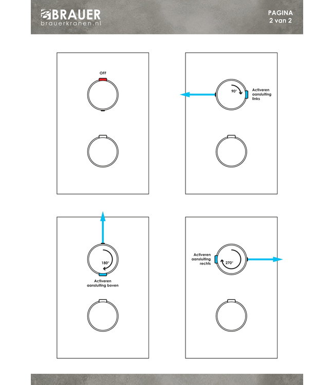 Brauer Carving set 33 thermostatische inbouw regendoucheset met 20 cm. hoofddouche, gebogen uitloop en 3 standen handdouche